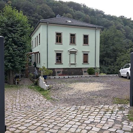 Idyllische Ferienwohnung In Zentrumsnaehe Dresden Eksteriør bilde