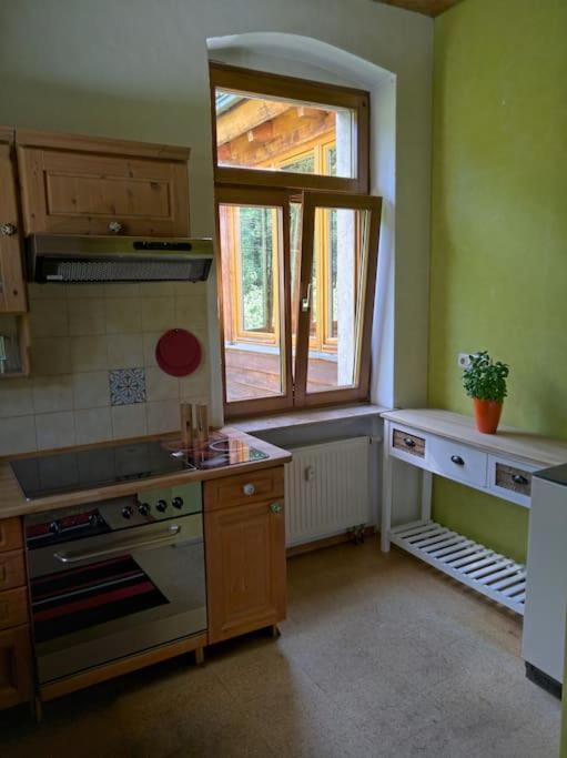 Idyllische Ferienwohnung In Zentrumsnaehe Dresden Eksteriør bilde
